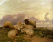 Sheep In Canterbury Water Meadows - 托马斯·辛德尼·库珀